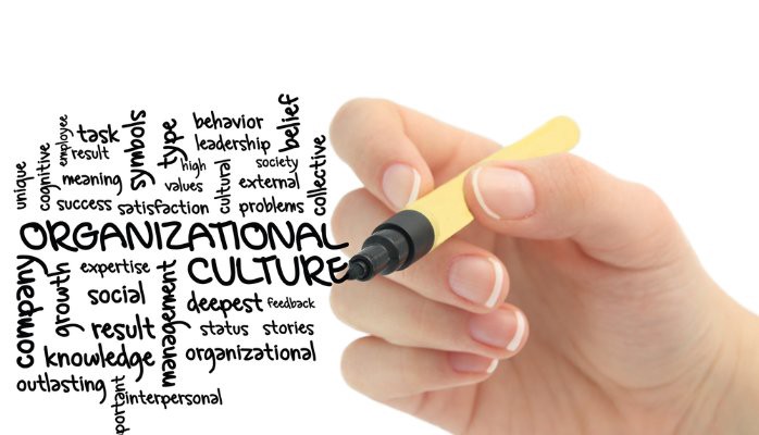 How do you know a company’s culture fits your needs and personality?