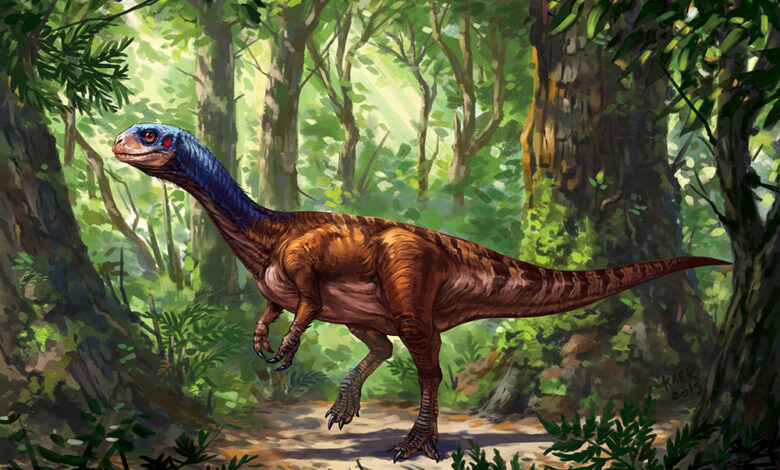 414 chilesaurus kaek starkiller