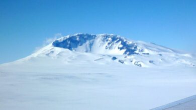 Study Discovers Massive Volcano Hidden in Antarctica 1 aHR0cDovL3d3dy5saXZlc2NpZW5jZS5jb20vaW1hZ2VzL2kvMDAwLzA1OS8zNjEvb3JpZ2luYWwvNjQ1OTMuanBlZw