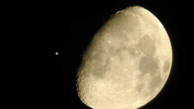 Jupiter occultation 1 3151