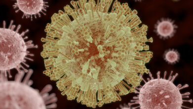 Zika Virus Disease 7673985