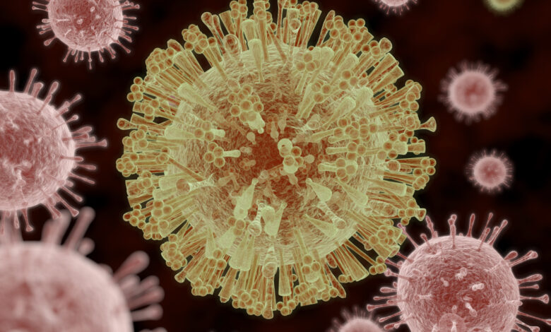Zika Virus Disease 7673985