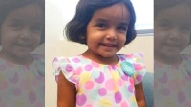 Authorities Found Body of Small Child While Searching For Missing 3-Year-Old 1 8fc9e338 b7a3 11e7 970b e502f534a12e