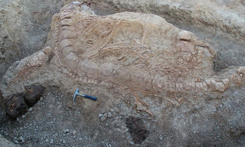 India’s Oldest Fossil of Jurassic Sea Monster is Here 2 imrs.php