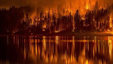 Southern California Fire Kills 1 and Evacuates Hundreds 3 920x920