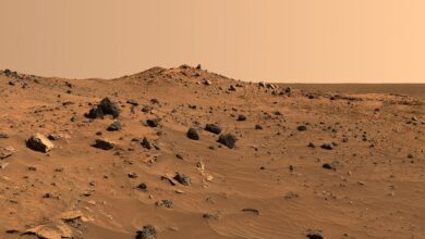 Earth’s Deserts Show How Microbes Survive on Mars 4 wpid mars surface