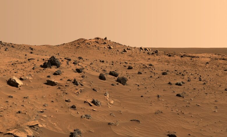 wpid mars surface