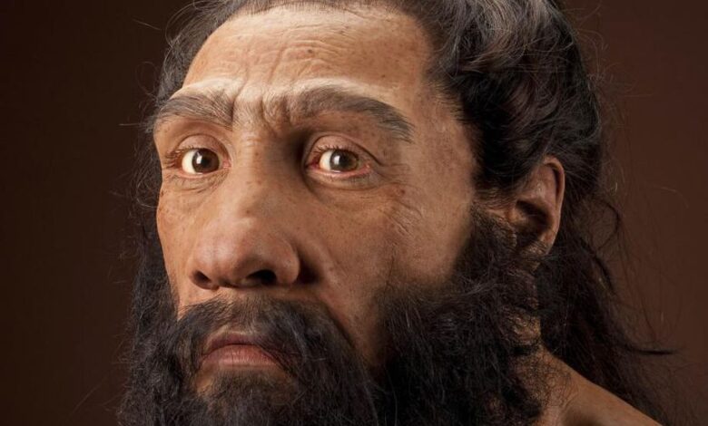 neanderthalensis JG Recon Head CC 3qtr lt sq