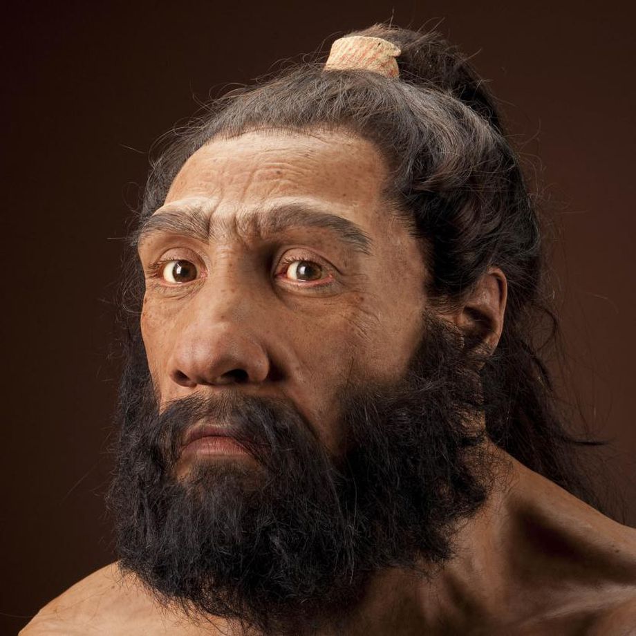 Next level science: Lab-grown mini Neanderthal brains