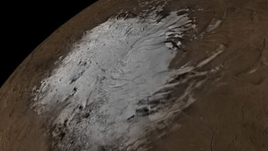 What Will We Eat on Mars After We Colonize It? 2 Food on Mars