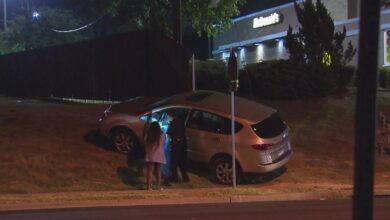 mother-shoots-carjacker-texas-airherald
