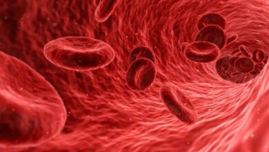 New Study Finds That Height Could be a Risk Factor for Varicose Veins 1 veins