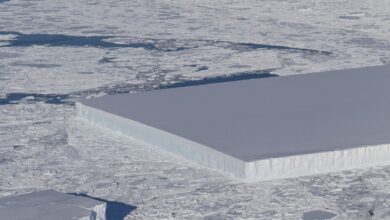 NASA Discovered a Perfectly Rectangular Iceberg In Antarctica 9 5bd093e7c63f4e12597c0790 1920 1440