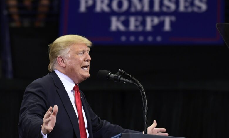 Donald trump, president trump, trump administration, trump immigration policy, immigration policy, border security, immigrants, military force