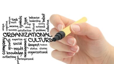 How do you know a company’s culture fits your needs and personality? 14 How do you know a company’s culture fits your needs and personality?