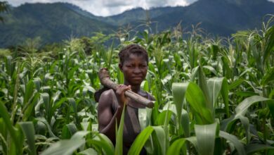 What are the causes of world hunger and are there ways to banish it? 11 What are the causes of world hunger and are there ways to banish it?