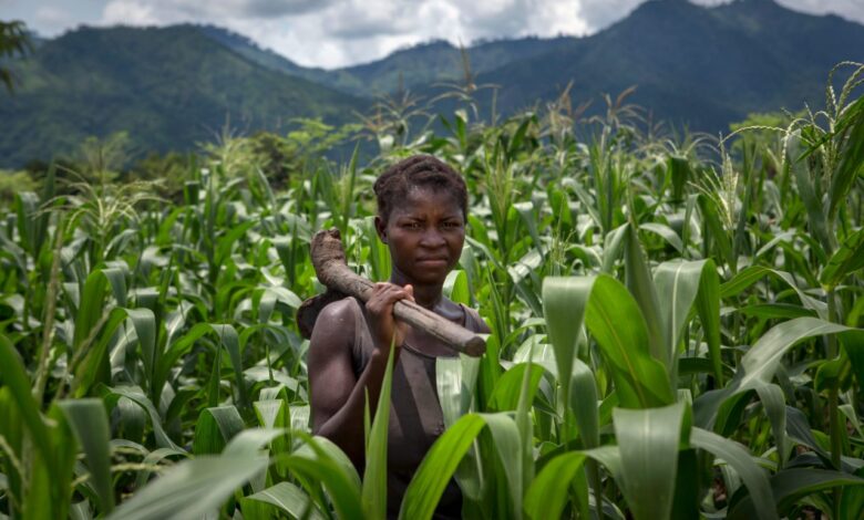What are the causes of world hunger and are there ways to banish it?