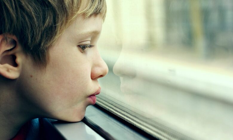 Hormone Therapy Could Improve Some Symptoms of Autism 1 Hormone Therapy Could Improve Some Symptoms of Autism